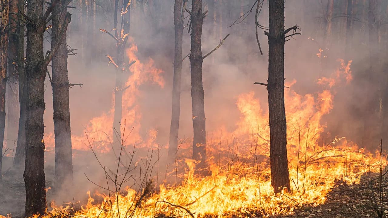 Czy Teneryfa jest bezpieczna? Fakty, zagrożenia i porady dla turystów