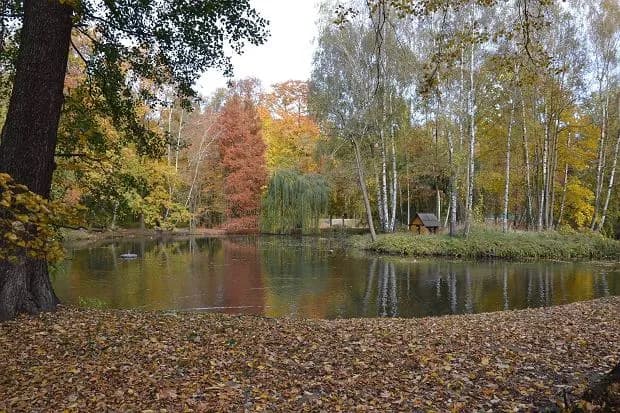 Gdzie dokładnie leży Kaliniec z Nocy i dni? Tajemnica miejsca z powieści Dąbrowskiej