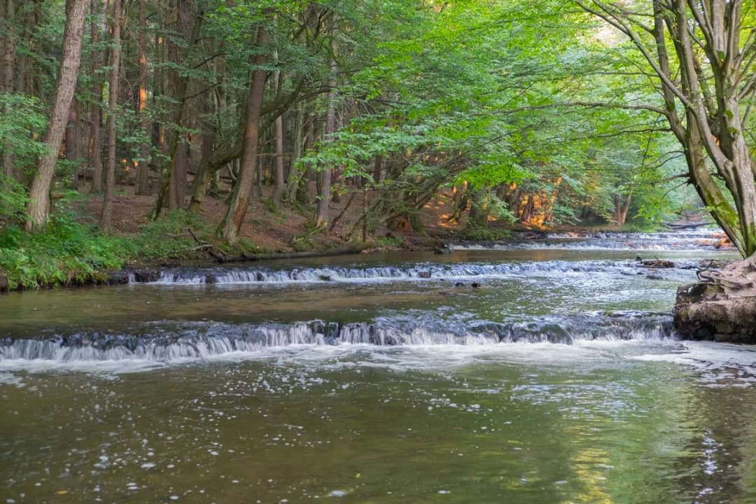Wycieczka po Roztoczu - co warto zobaczyć