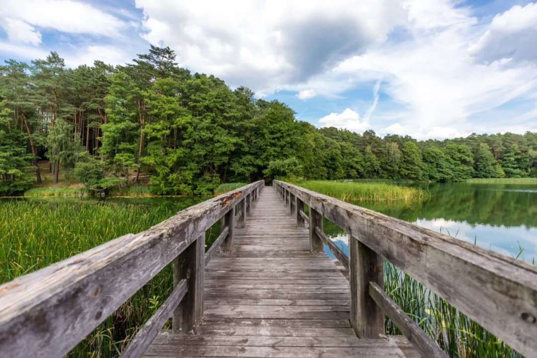 Najlepsze miejsca na spacer w Poznaniu - Gdzie warto spacerować?